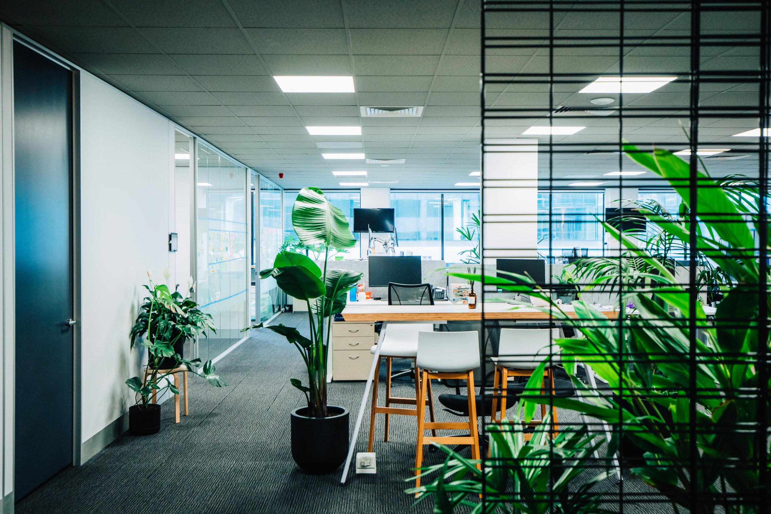 commercial office fitouts