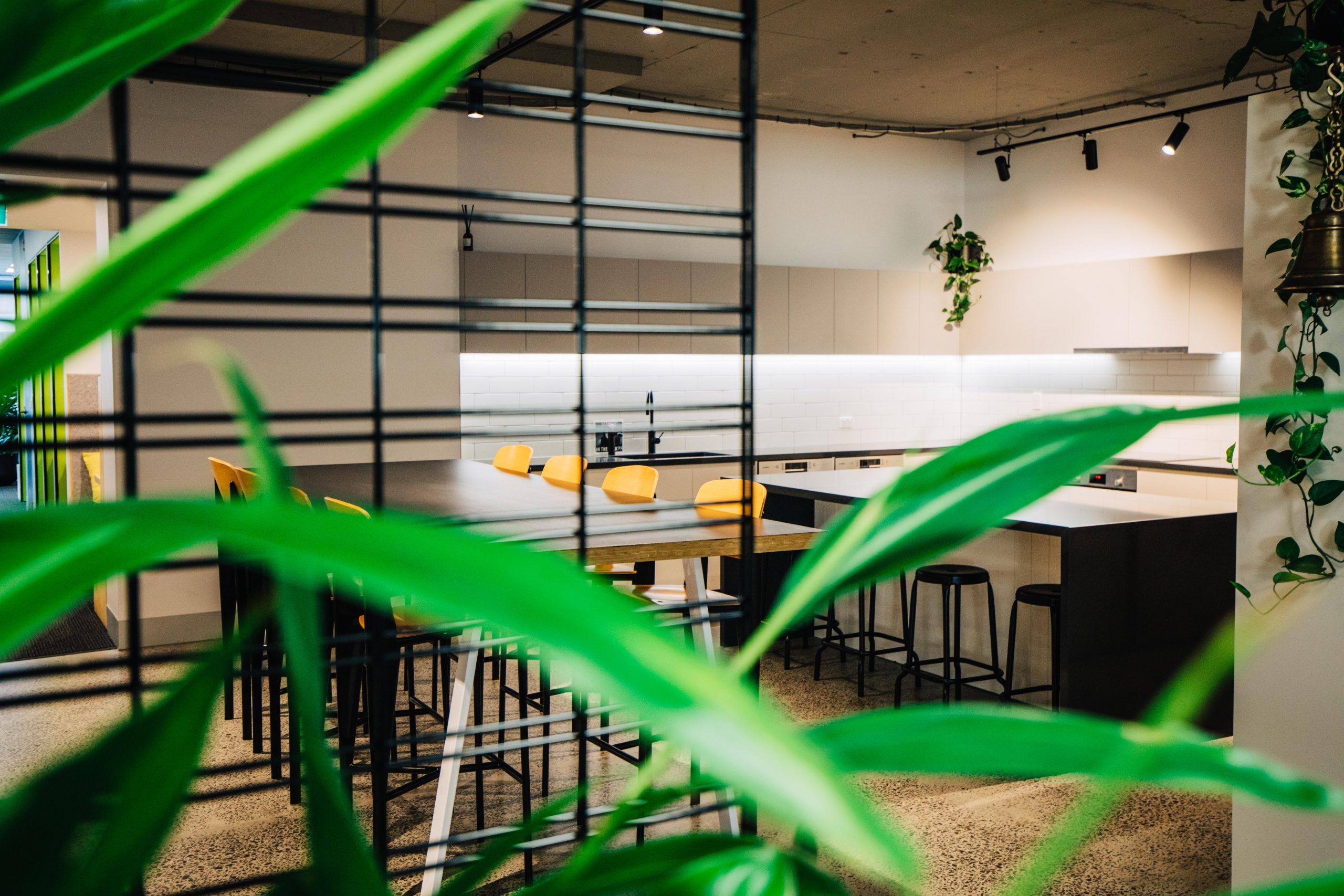 Symmetry Commercial - 128 Exhibiton St-9820