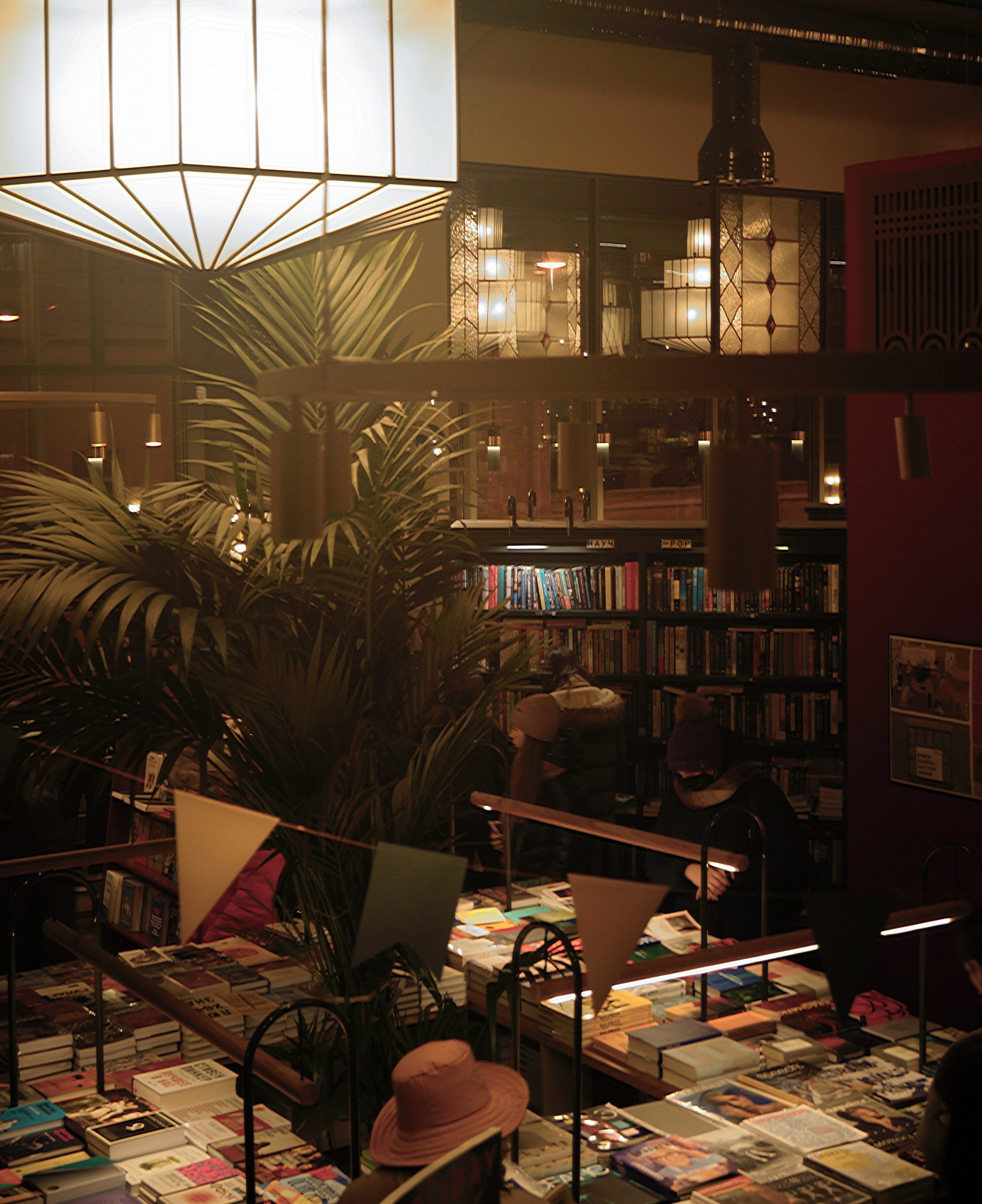 pexels-camilla-gari-10792150